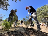 Participants planting at Arroyo Hondo during an Earth Day event