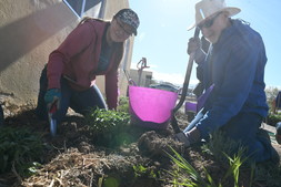 Planting at Earth Day event