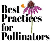 Pollinator Summit