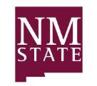 NM State