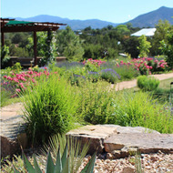 Nature Sketching Class - More Cropped