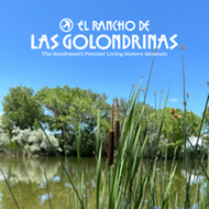 Wetland Wednesdays - Square