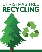 Christmas Tree Recycling