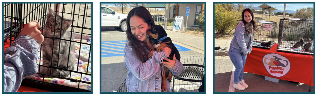 three pictures from Paws at the Polls event- Clerk's Office staff with adoptable animals