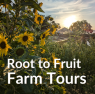 Root to Fruit Farm Tour