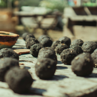 Seed Balls