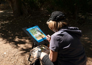 Plein Air Painting at Wetlands