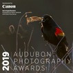 Audubon Photography Traveling Exhibit ad
