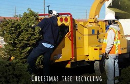 xmas tree recycling