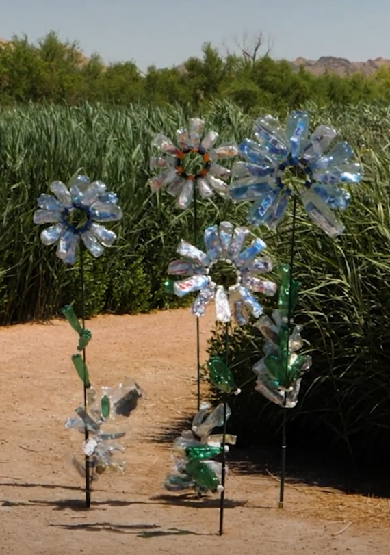 Invasive flowers art display 