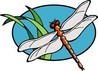 WP Dragonfly logo