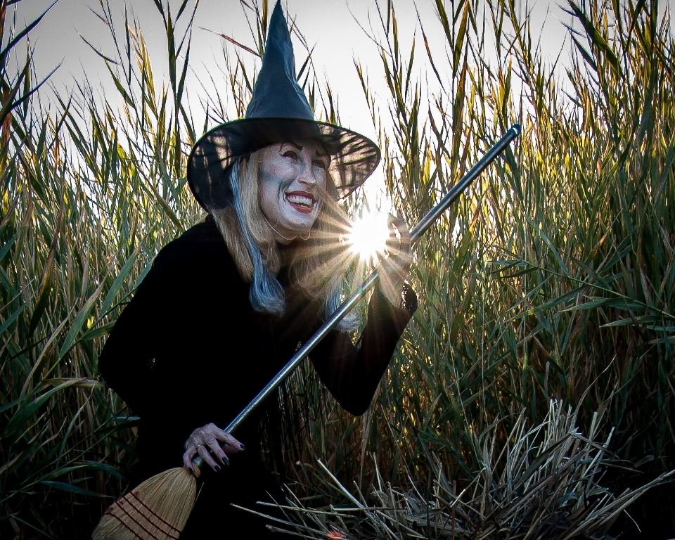 Witch at Haunt the Wetlands