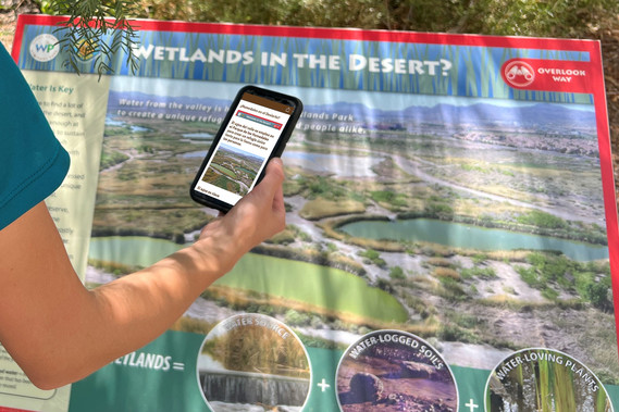 Visitor using new mobile app at Wetlands