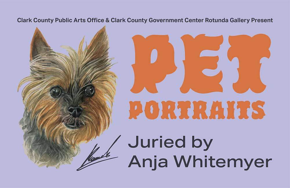 Pet Portraits