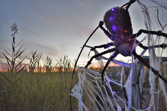 Halloween spider prop in a web with the sun setting in the background