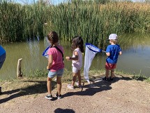 Wetlands Explorers Dragonflies