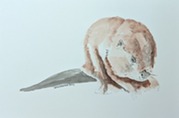 Watercolor for Kids American Beaver Painting by Amy Monson