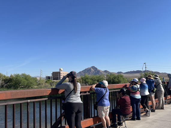 java jaunt birding participants at wetlands park