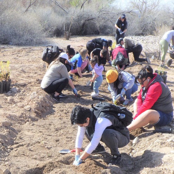 wetlands park volunteers planting native trees