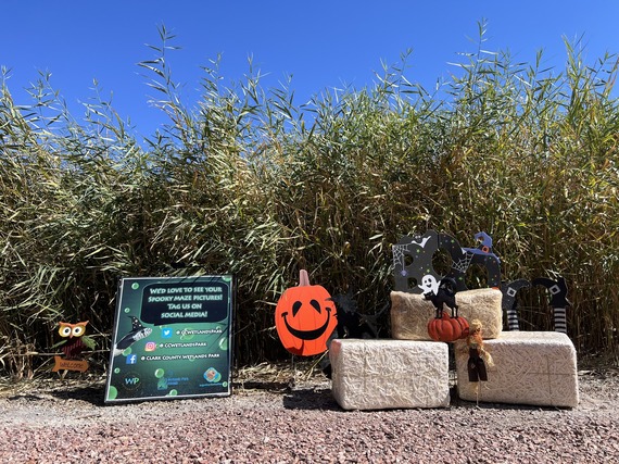 SPOOKY MAZE AT WETLANDS PARK