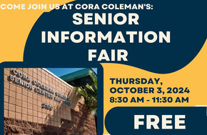 Senior Fair