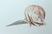 Nature Art for Kids American Beaver Painting by Amy Monson