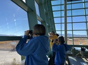 Welcome to the Wetlands Park Volunteers at FeederWatch