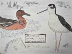 Morrigan DeVito Nature Journal Observation March 31 2024