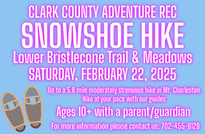 Snowshoe Hike with Adventure Rec