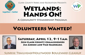 Wetlands Who cleanup