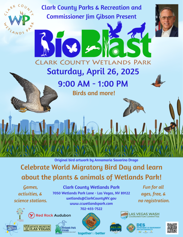 BioBlast at the Wetlands