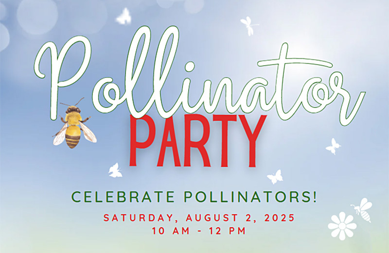 Pollinator Party at the Wetlands