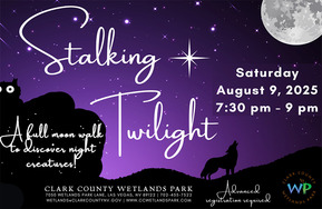 Twilight Full Moon walk the Wetlands