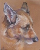 portrait of beloved pet, Dina, by artist stasia valora fisher