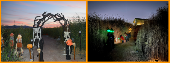 Haunt the Wetlands Outdoor Maze at night