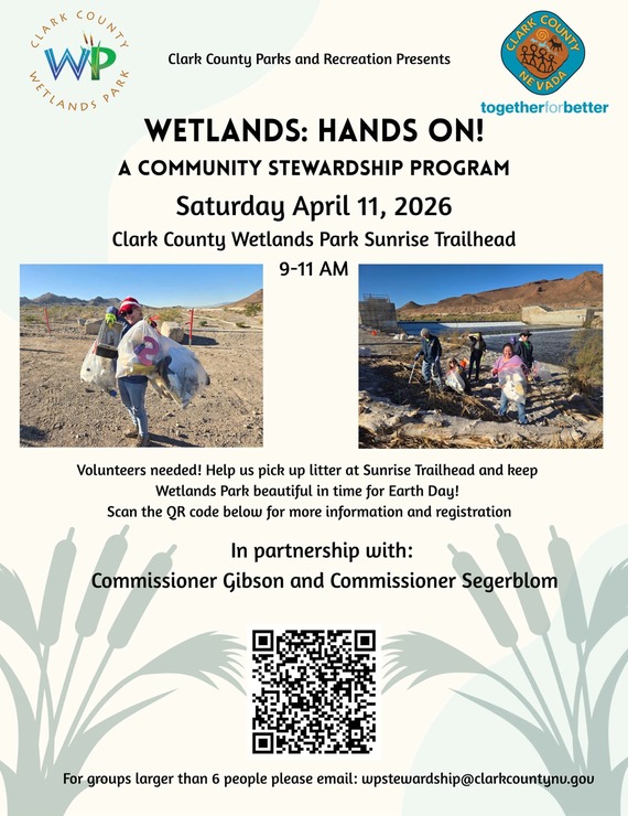 wetlands hands on