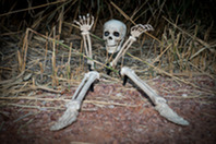 Skeleton on the ground during Haunt the Wetlands