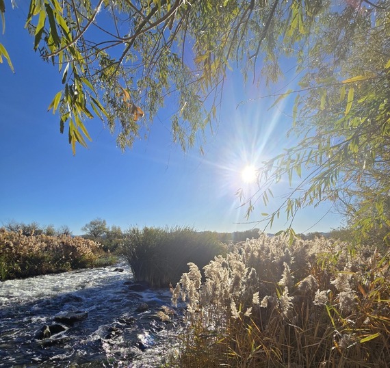 Sun shining through tree next to the wash. By Matthew Thomas