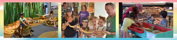 Participants enjoying activities at Discovery Day