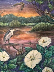 Hidden Wetlands by Monica James