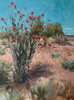 Ocotillo by Taylor Pierce