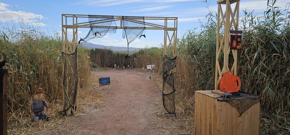 Haunt the Wetlands story book maze entrance