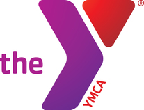 the Y