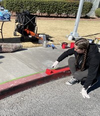 Curb Painting