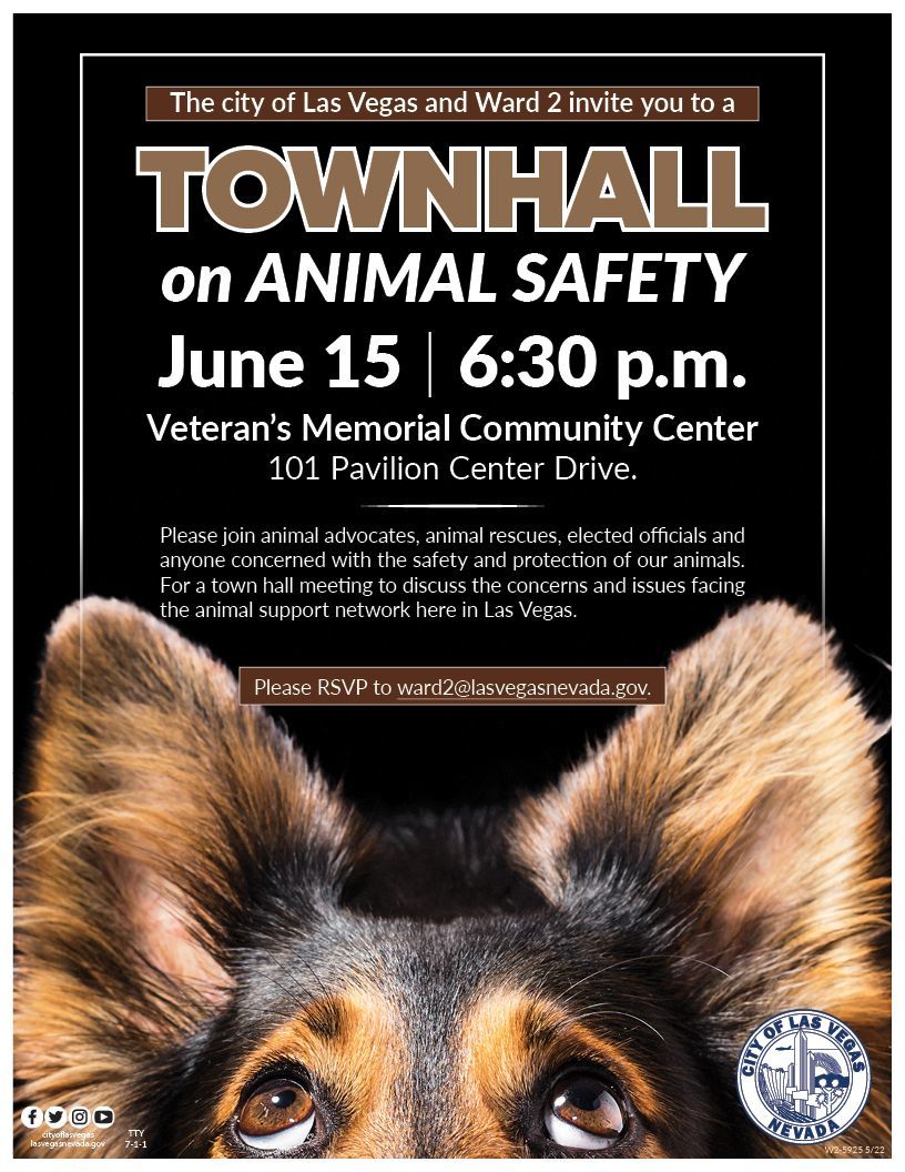Animal Town Hall