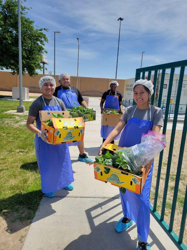 Food Distribution