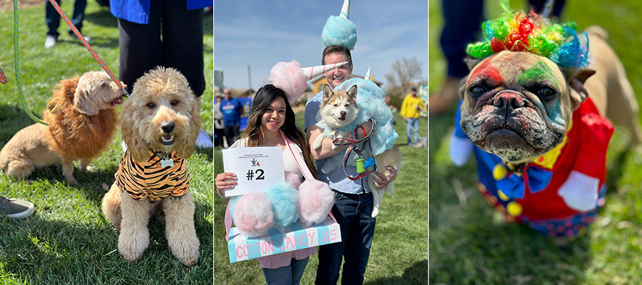 Pet Collage from Employee Picnic March 9, 2024