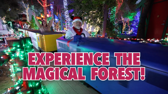 Magical Forrest