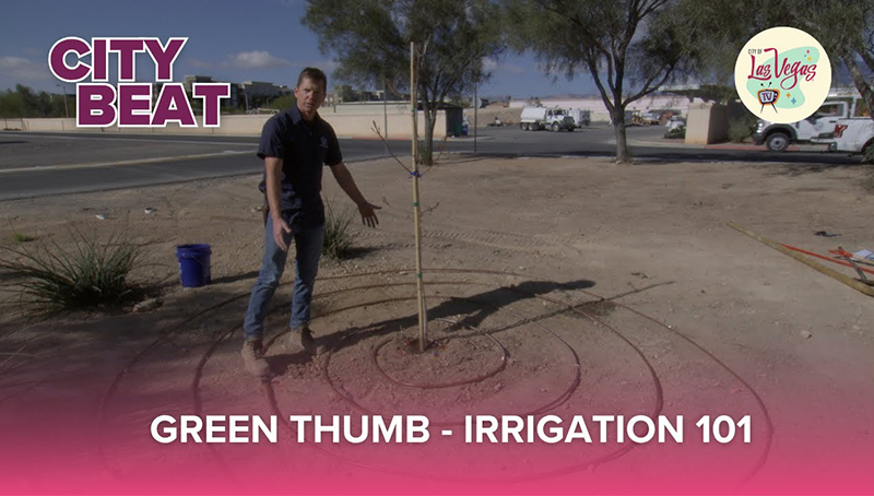 Green Thumb Irrigation 101 with Brad Daseler