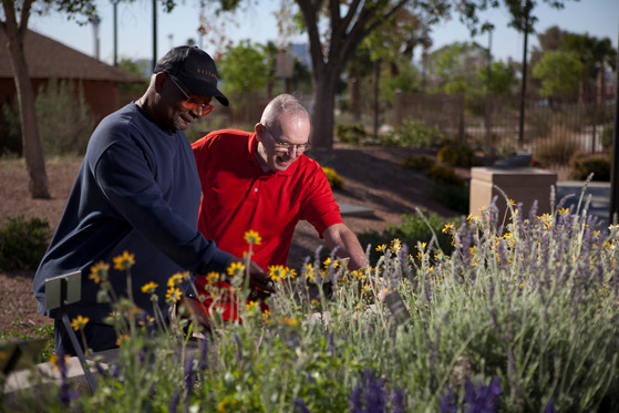 Active Adult Participants